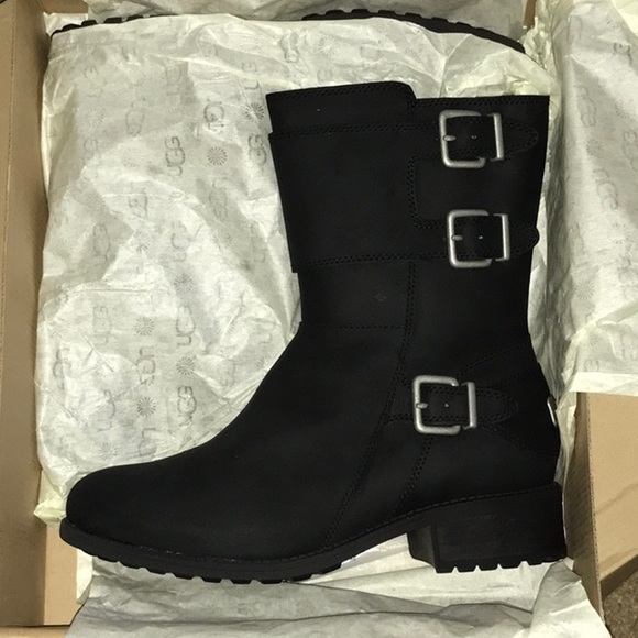 Nib Ugg Wilcox Leather Moto Boots Women 